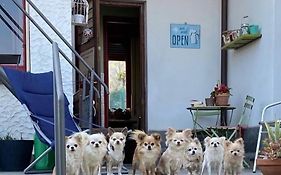 B&B Il tempo del sogno Pet&Breakfast